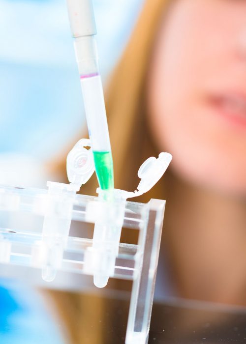 stem-cell-research stem-cell-research