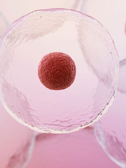stem-cells-red stem-cells-red
